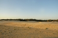 tunisia, atlas, roman, camels-21